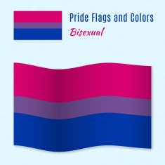 Bisexual pride flag with correct color scheme N2