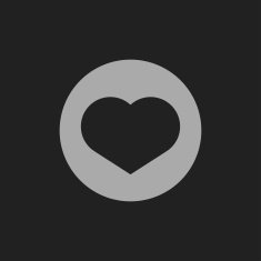 icon of heart N9