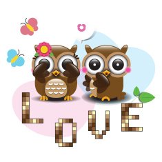 Couple of owls in love free image download