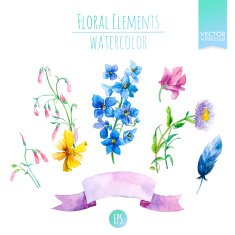 Floral Set with Watercolor Flowers for Summer or Spring Cards