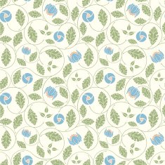 seeds and leaves N2