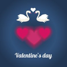 Happy valentines day with white loving couple of swans