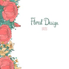 Floral Border N27