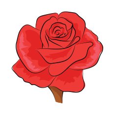 Rose Hand Drawn Vector Illustration