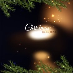 Christmas tree branches 02 A N2