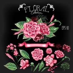 Collection of vector floral design element