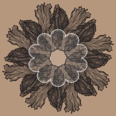 Floral frame with tulips lace Vector illustration