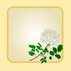 Golden frame with white rose vector