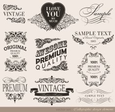 Calligraphic Design Elements N209