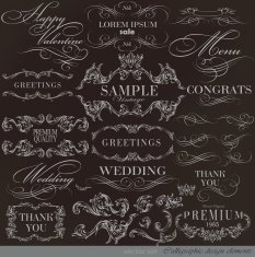 Calligraphic Design Elements N290