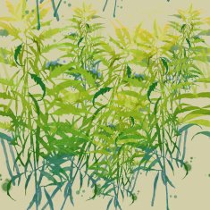 Watercolor vector spring background