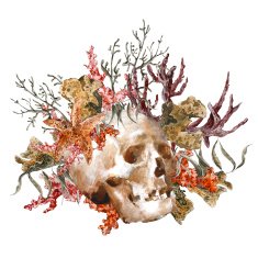 Watercolor shabby sea life greeting card with skull on wh N2