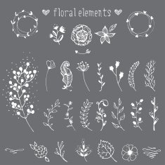 Vector Floral Elements N4
