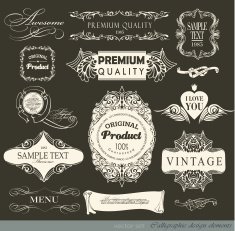 Calligraphic Design Elements N305