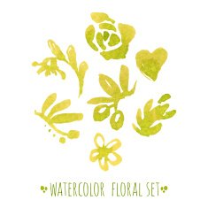watercolor floral set N8