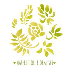 watercolor floral set N9