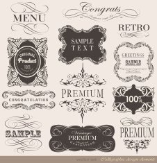 Calligraphic Design Elements N346