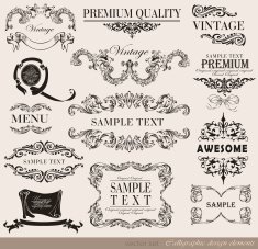 Calligraphic Design Elements N348