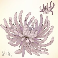 Floral Elements for design N30