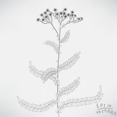 Floral Elements for design N31