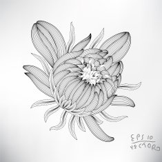 Floral Elements for design N32