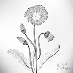 Floral Elements for design N33