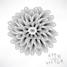 Floral Elements for design N36