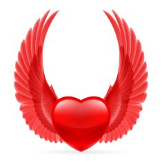 Heart with wings up N4