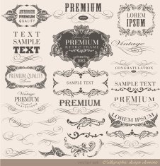 vector set calligraphic N8