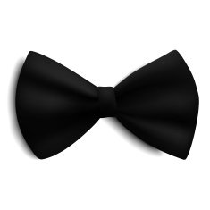 Black vector bow isolated on white N2