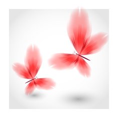 Red butterflies fluttering air