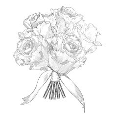 Hand Drawn vector bouquet roses Isolated illustration with fill