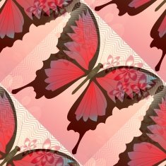 Romantic pink and red background with blended butterfly motif N2