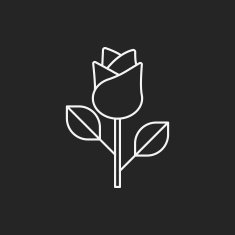 flower bouquet line icon N14