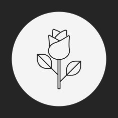 flower bouquet line icon N15