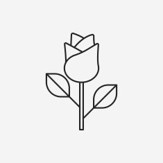 flower bouquet line icon N16