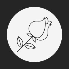 flower bouquet line icon N19