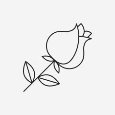 flower bouquet line icon N20