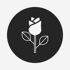 Flower bouquet icon N18