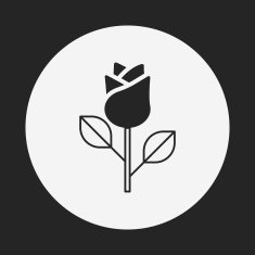 Flower bouquet icon N20
