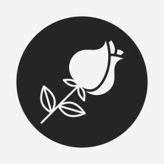 Flower bouquet icon N26