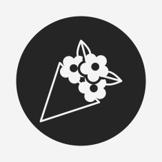 Flower bouquet icon N30