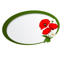 Vector white background with chamomile and poppies N3