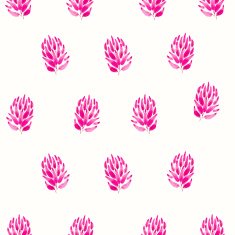 Vector Illustration with original floral background N24