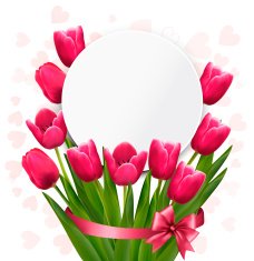 Celebration background with pink tulips Vector