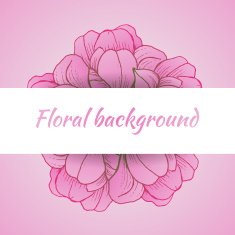 Floral background with daisy in pastel colors N7