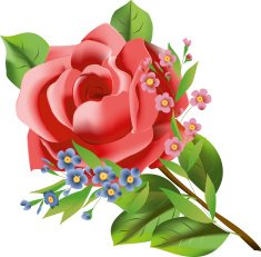 Rose with small dark blue and pink flowers N2
