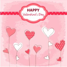 Happy Valentine's Day N66