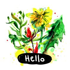 Watercolor Flowers N109
