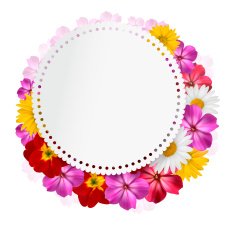 Holiday background with pink flowers and a gift card Vector
